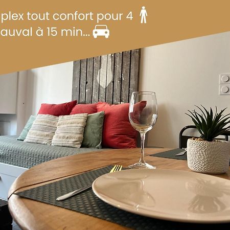 Duplex/Beauval & Chateaux セル・シュル・シェール エクステリア 写真