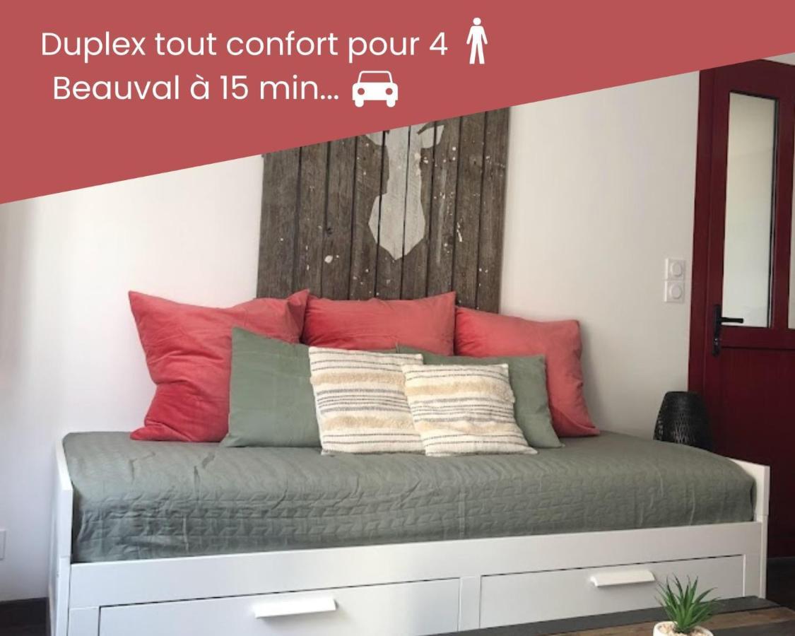 Duplex/Beauval & Chateaux セル・シュル・シェール エクステリア 写真