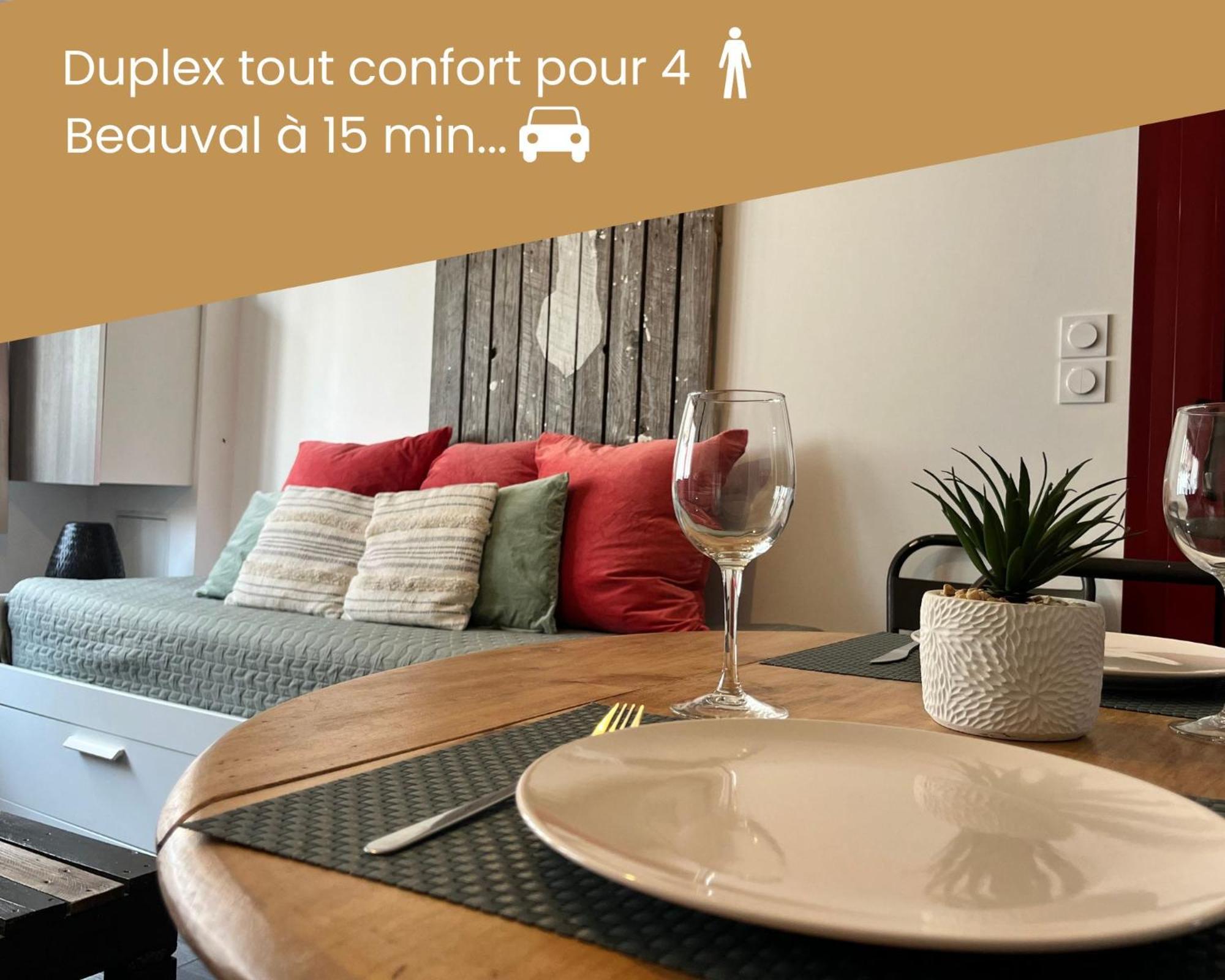 Duplex/Beauval & Chateaux セル・シュル・シェール エクステリア 写真